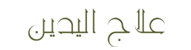 Arabe SMains